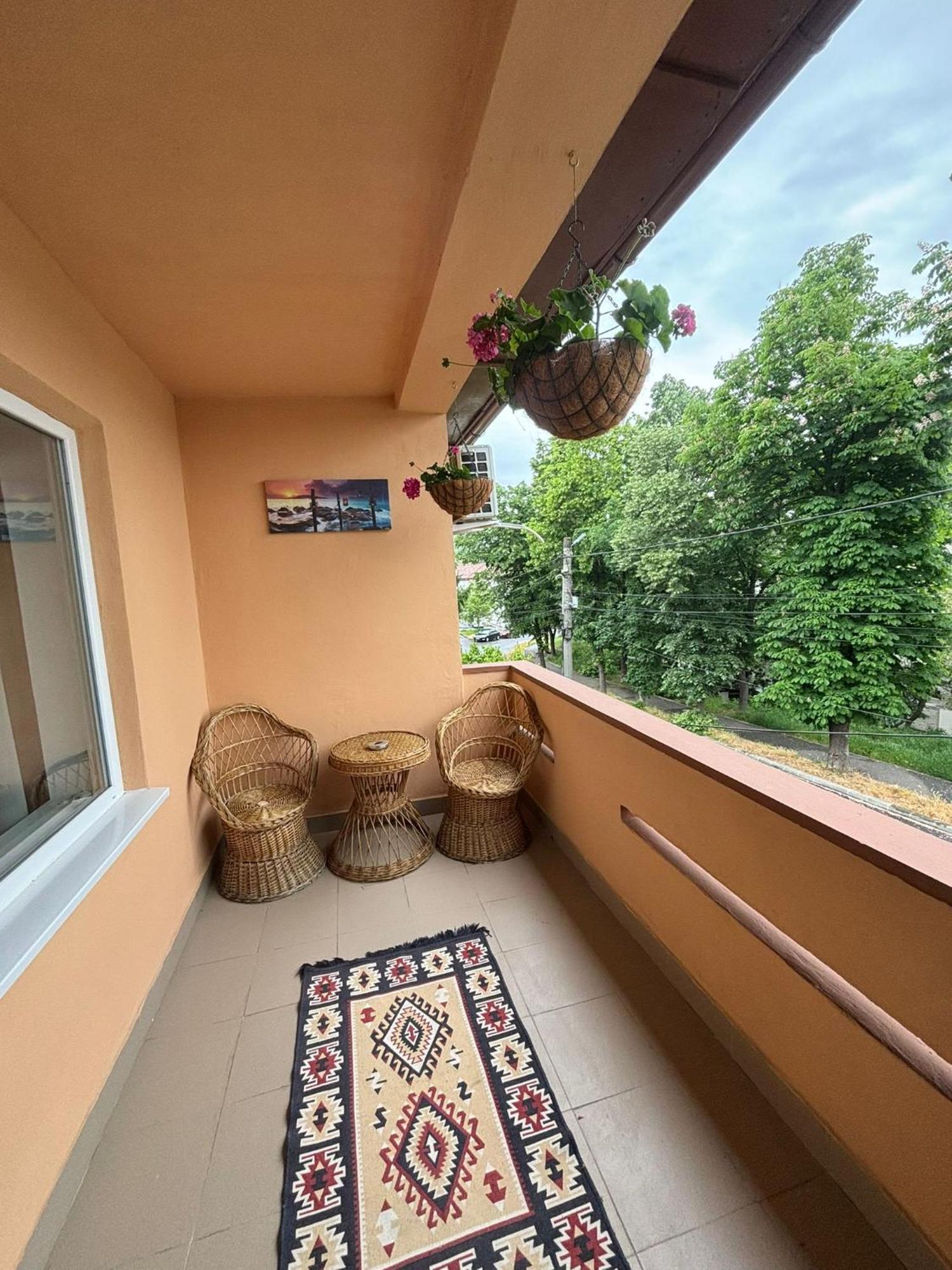Hotel Casa Roxamy à Orşova Extérieur photo